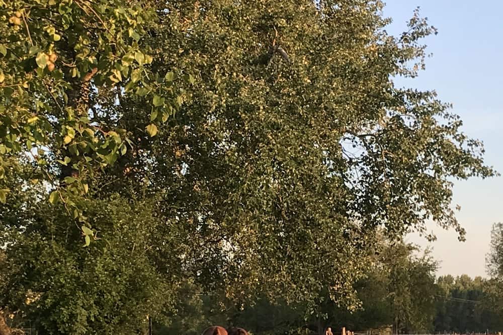 Photo of Outdoor in Cysoing