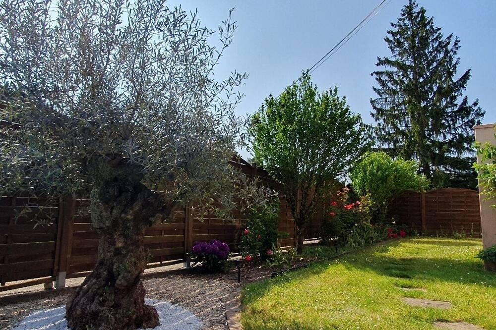 Photo of Outdoor in Eschau