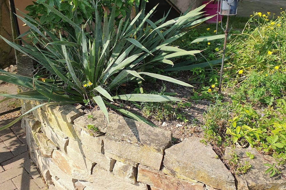 Photo of Outdoor in Eschau