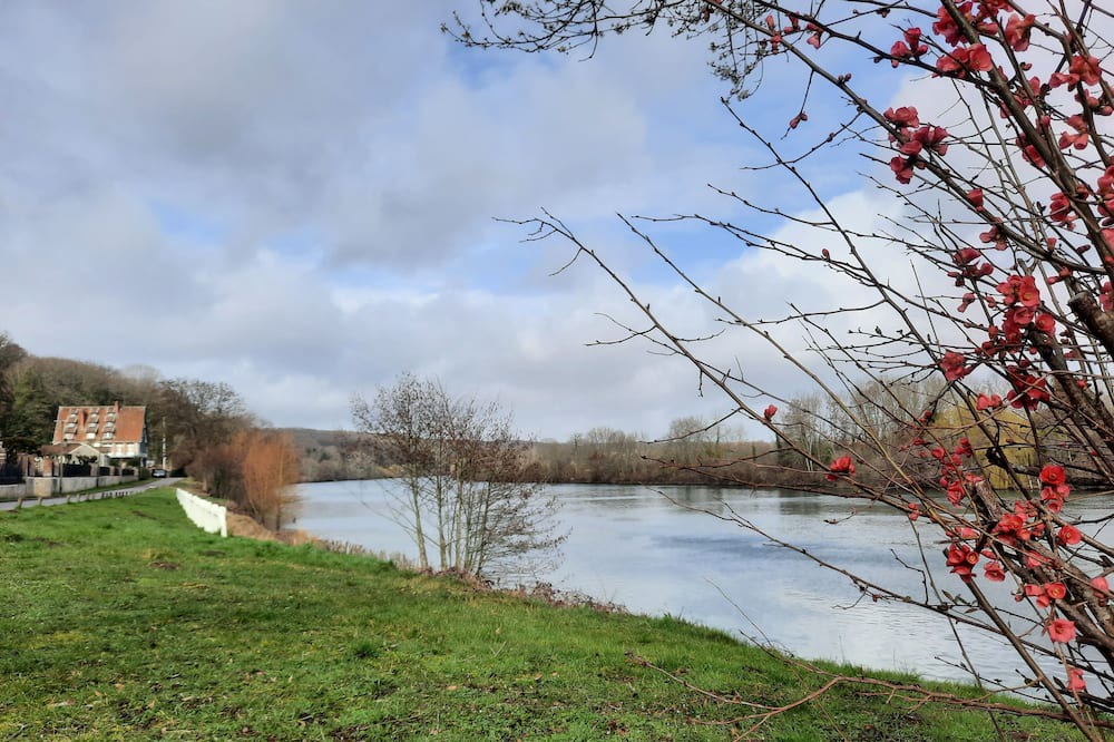 Photo of Outdoor in Bois-le-Roi