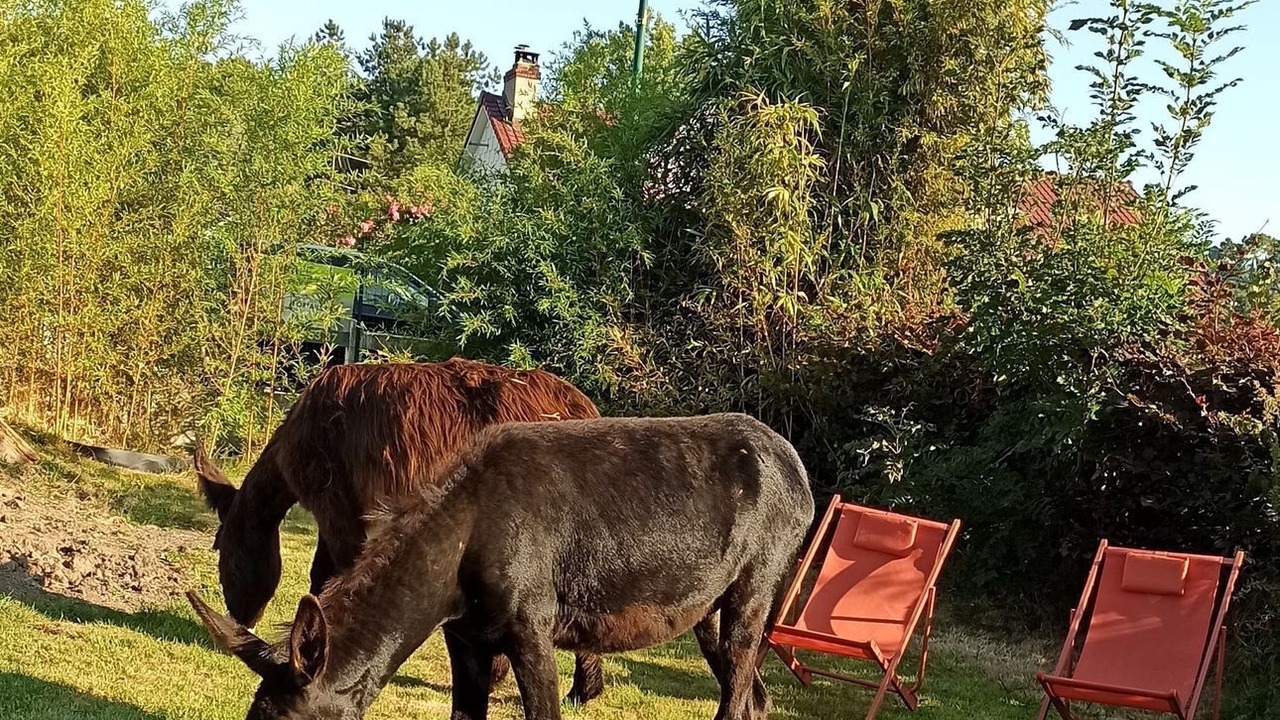 Photo of Others in Condette