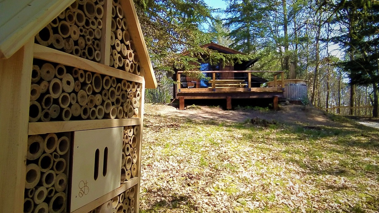 Photo of Outdoor in Saint-Germain-du-Salembre