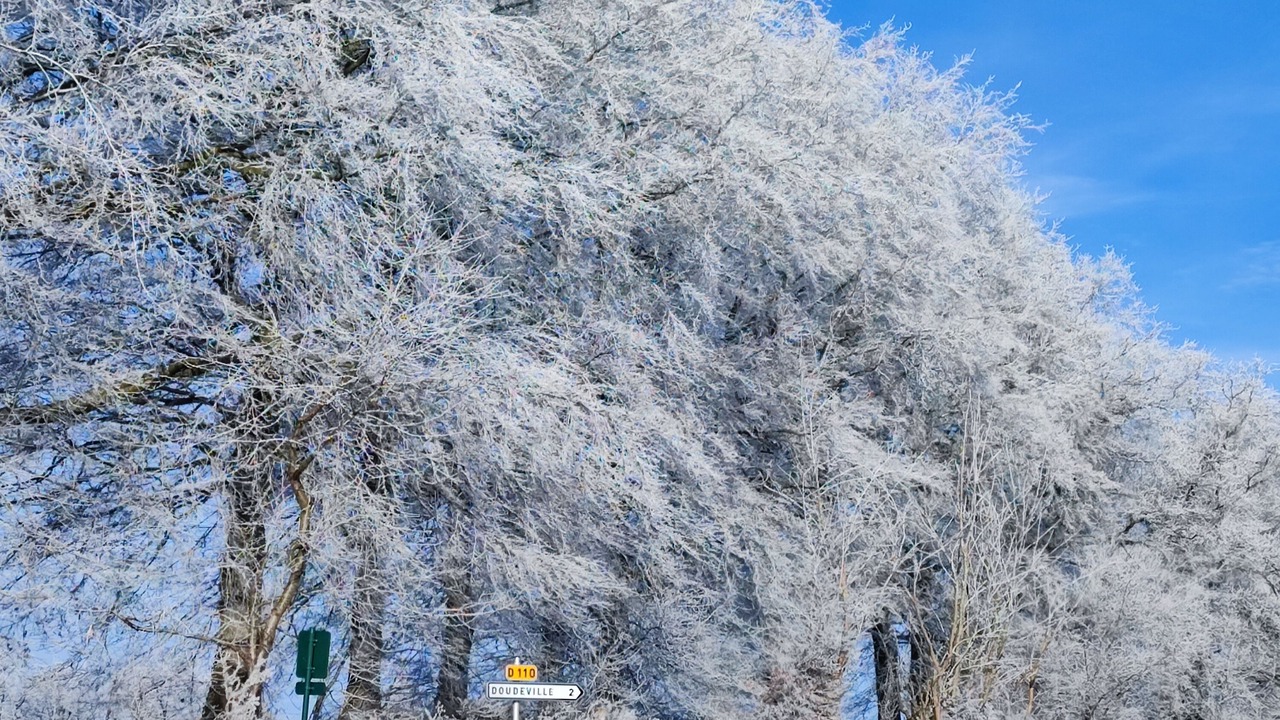 Photo of Outdoor in Fultot