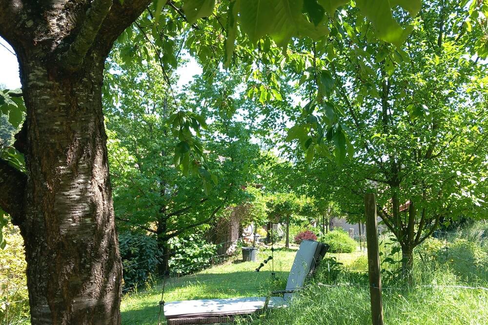 Photo of Outdoor in Rosteig