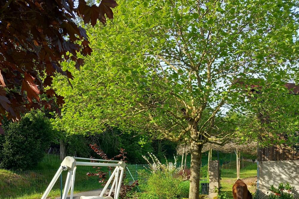 Photo of Outdoor in Rosteig
