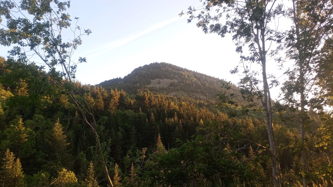 Photo of Outdoor in Boree