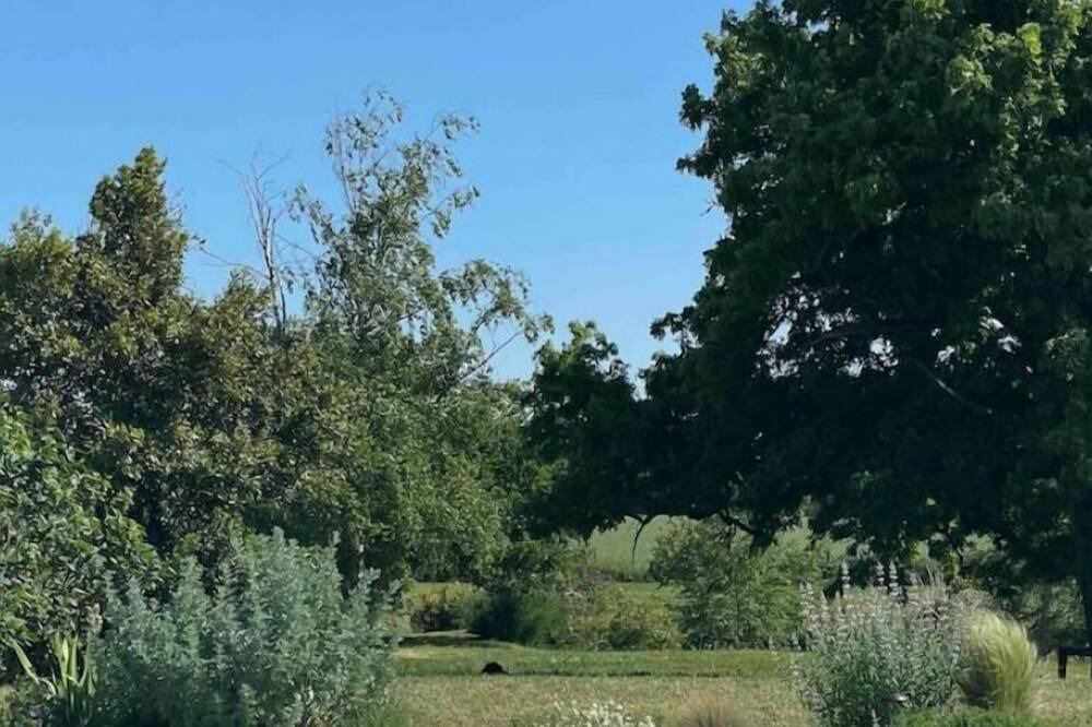 Photo of Outdoor in Montholon