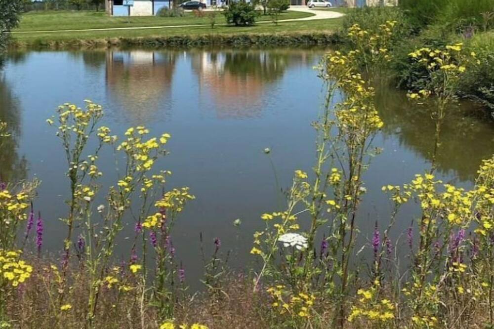 Photo of Outdoor in Montholon