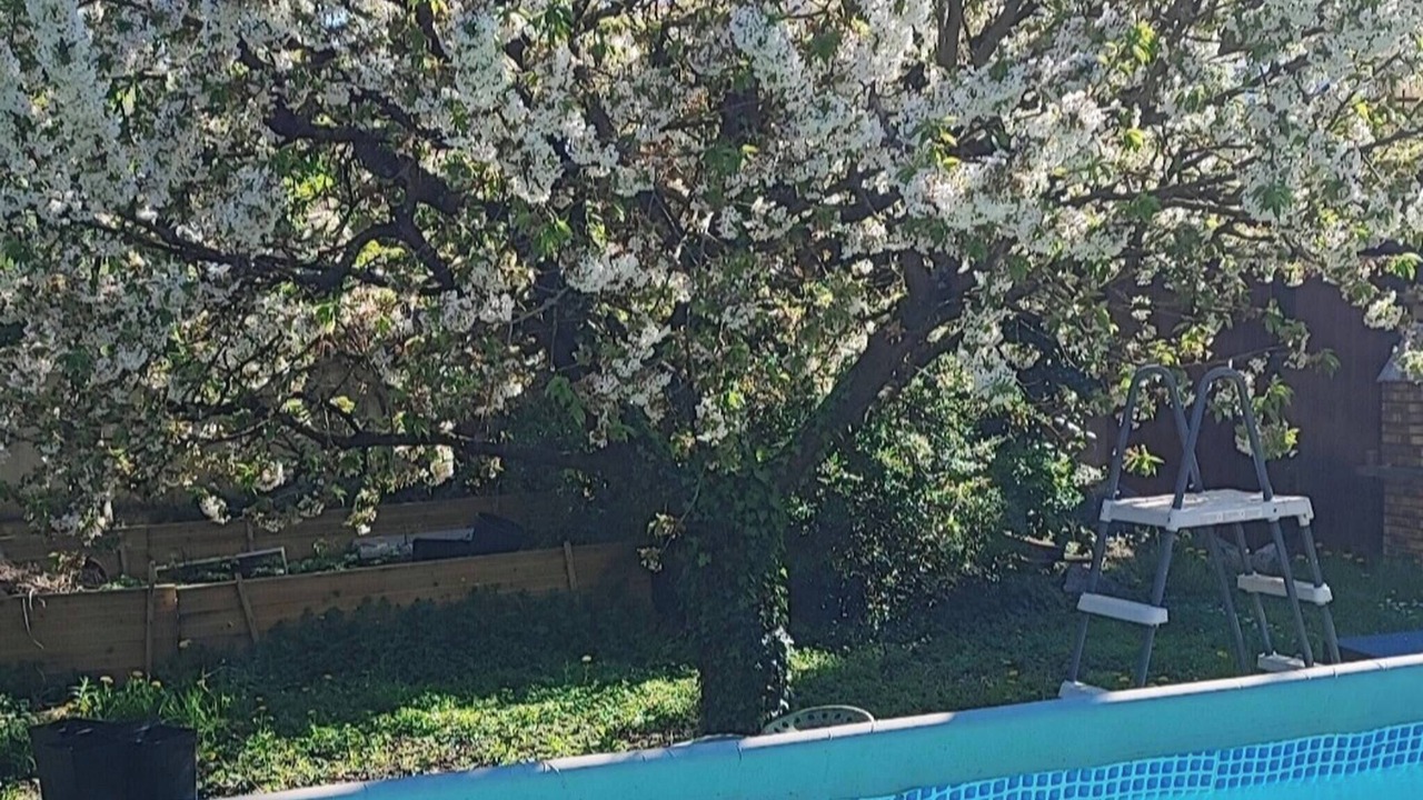 Photo of Outdoor in Corbeil-Essonnes
