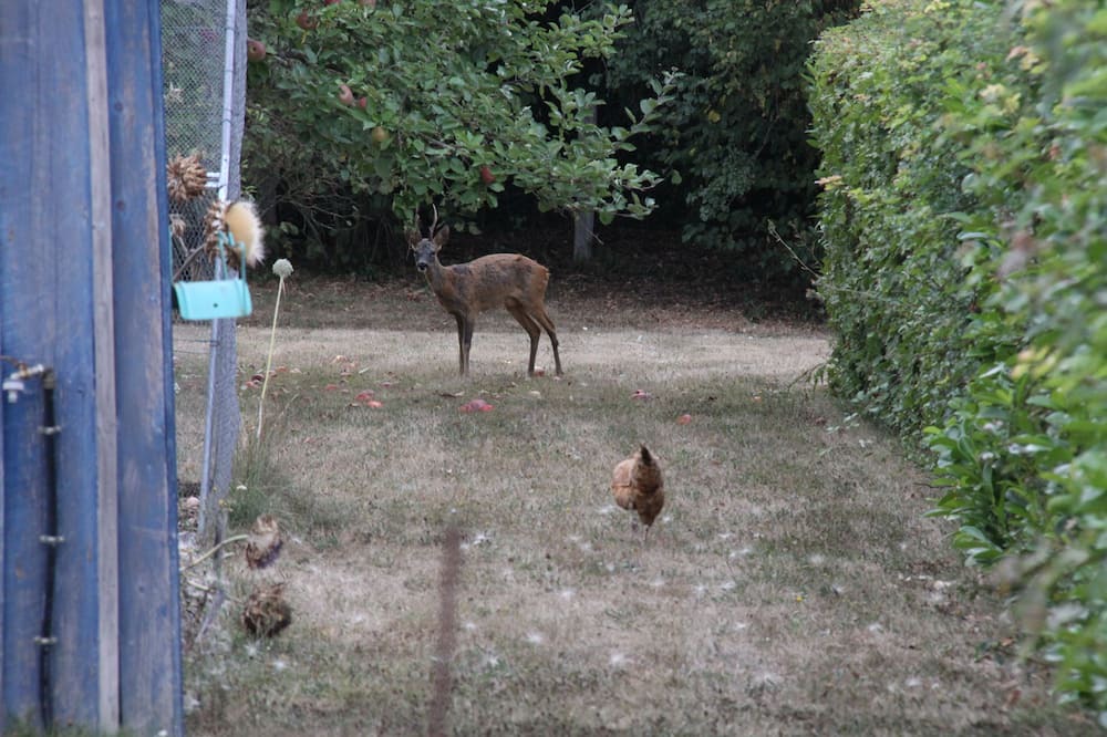 Photo of Others in Verdon