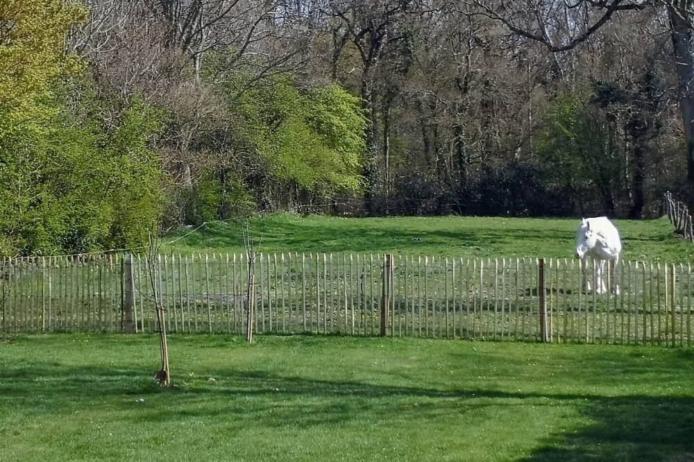Photo of Outdoor in Etaples