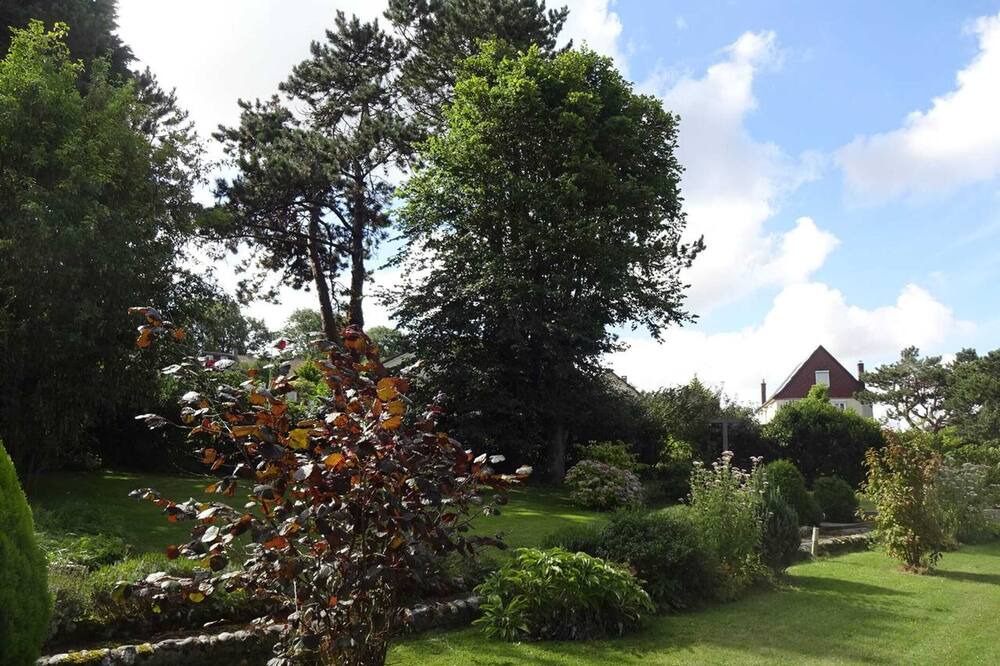 Photo of Others in Saint-Martin-en-Campagne
