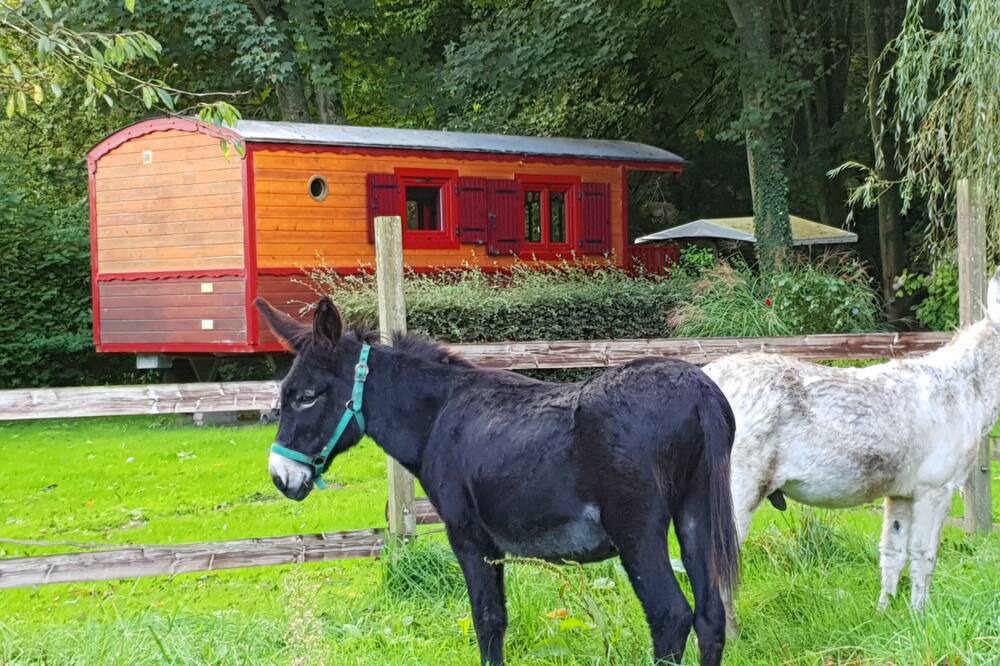Photo of Others in Crecy-en-Ponthieu
