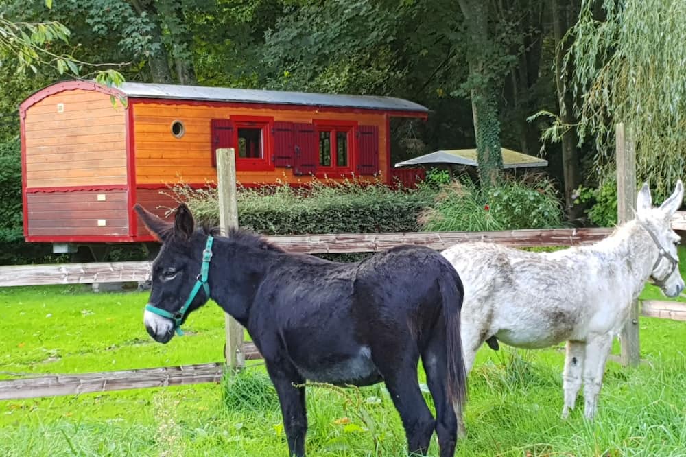 Photo of Others in Crecy-en-Ponthieu