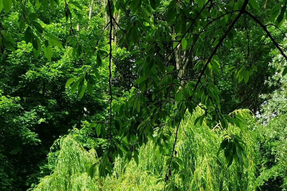 Photo of Outdoor in Crecy-en-Ponthieu