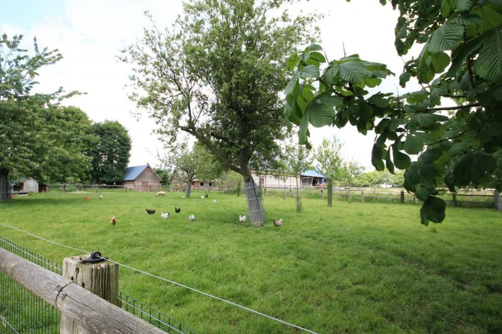 Photo of Outdoor in La Cerlangue