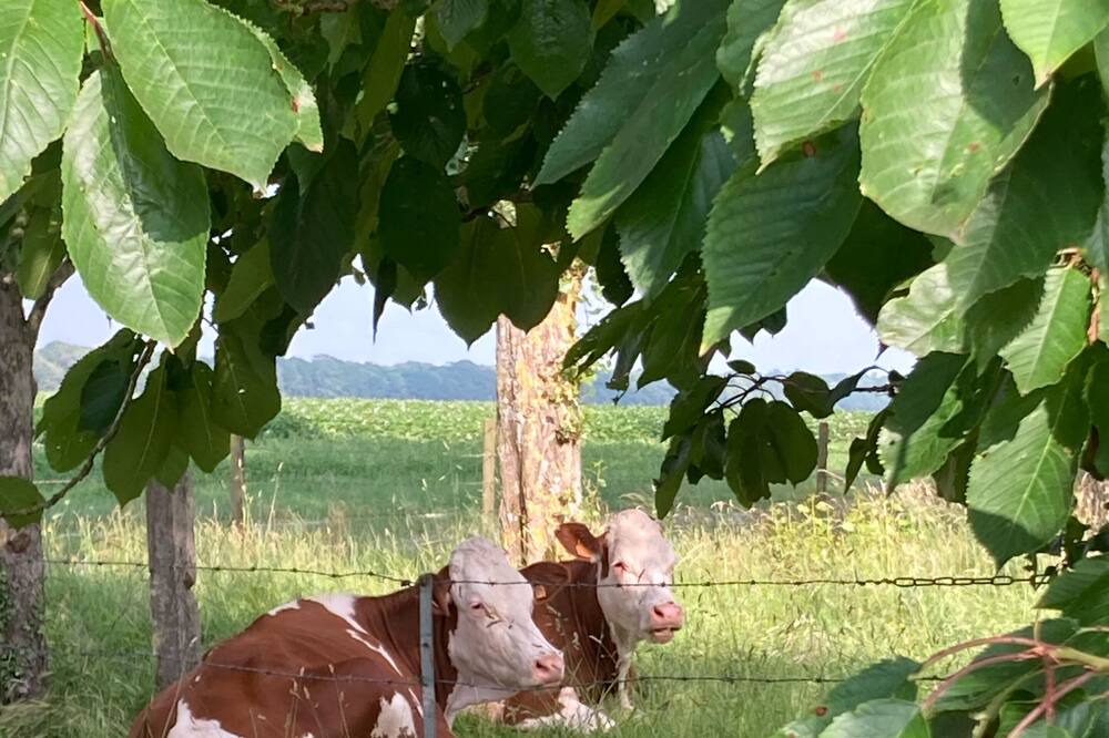 Photo of Outdoor in Sailly-Flibeaucourt