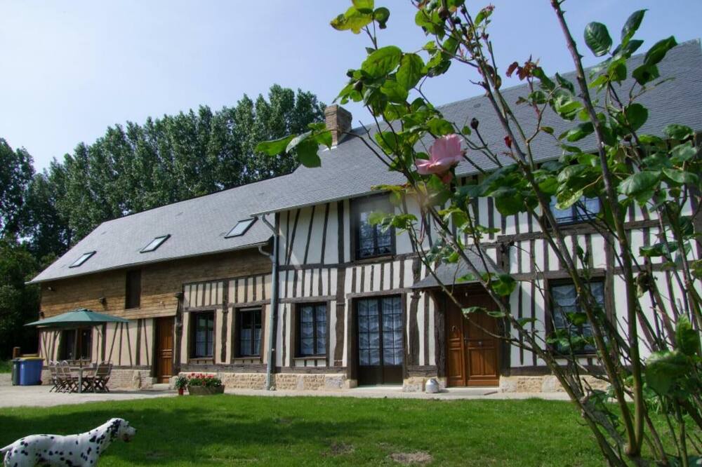 Photo of Outdoor in Saint-Paer