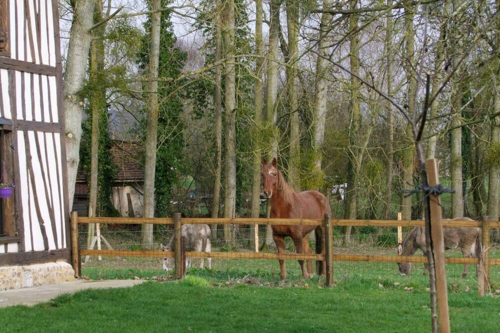Photo of Outdoor in Saint-Paer