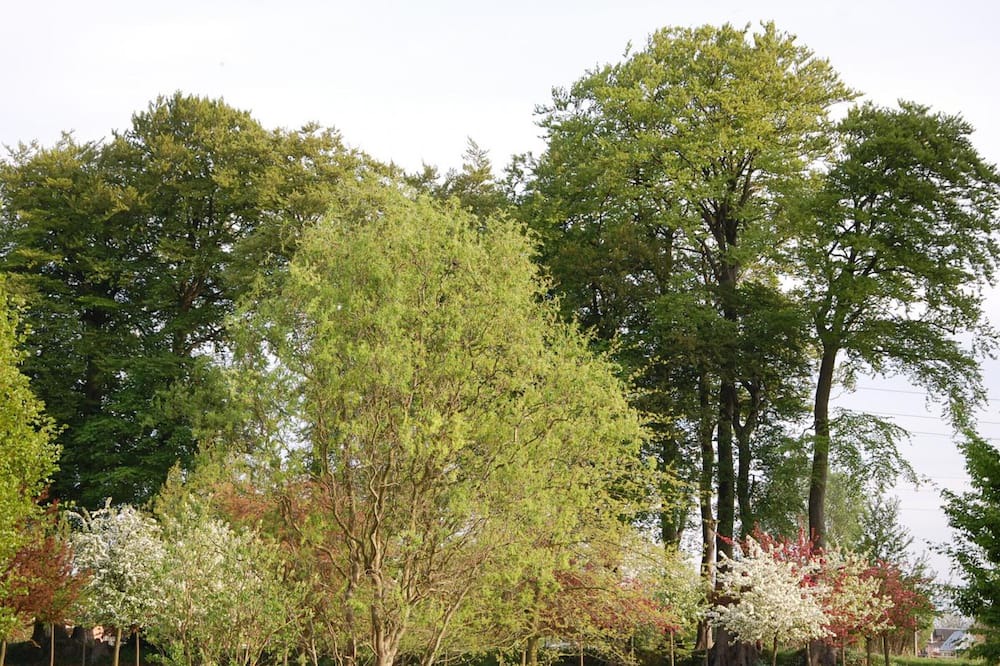 Photo of Outdoor in Port-Jerome-sur-Seine