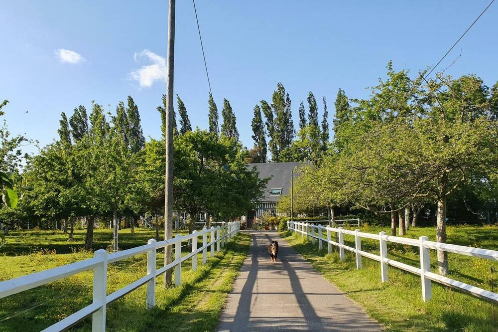 Photo of Outdoor in Octeville-sur-Mer