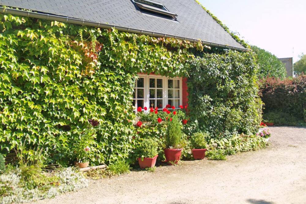 Photo of Outdoor in Riville