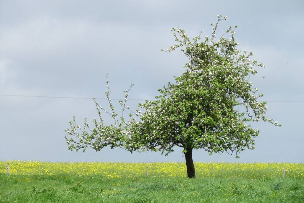 Photo of Outdoor in Cuverville-sur-Yeres