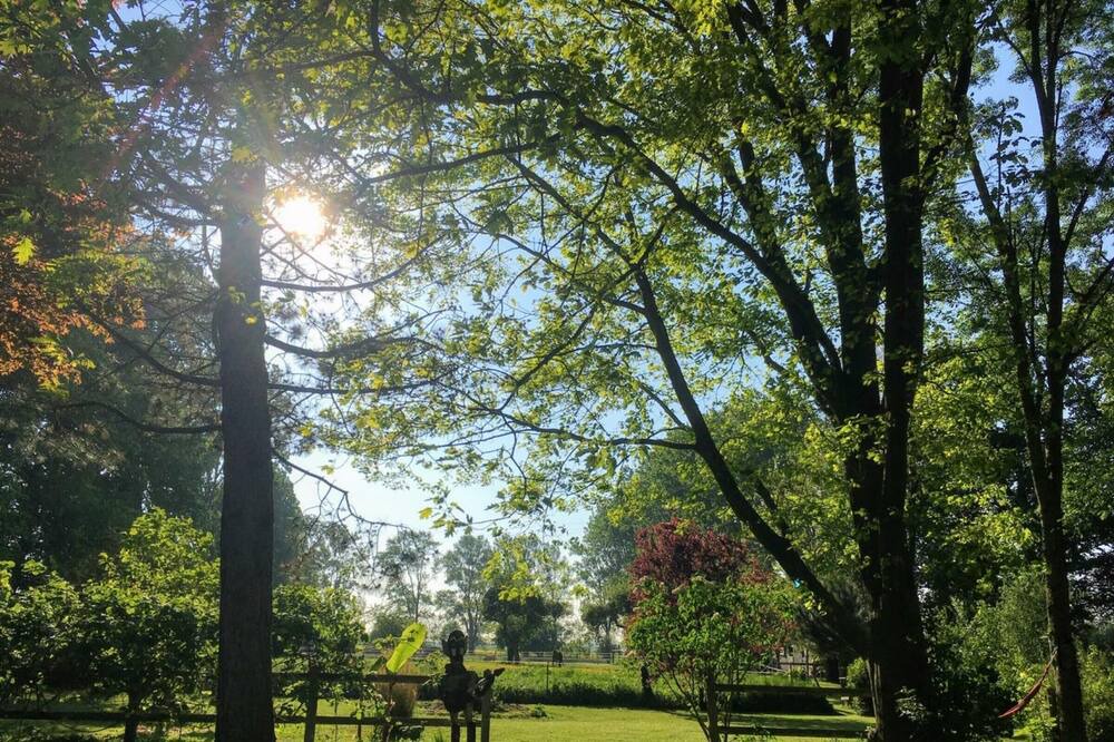 Photo of Outdoor in Ambrumesnil