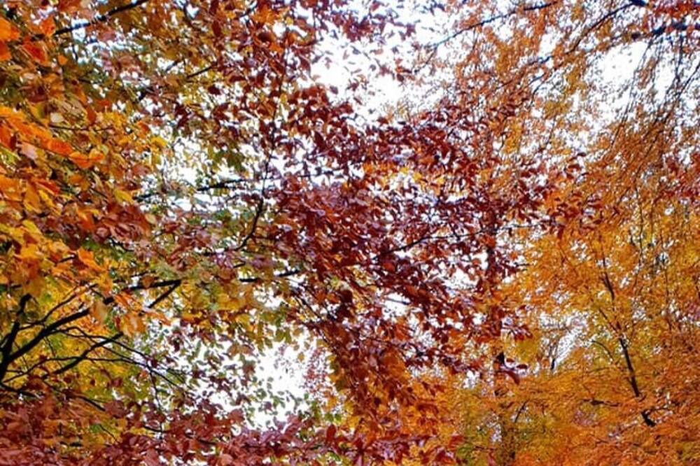 Photo of Outdoor in Saint-Jean-aux-Bois