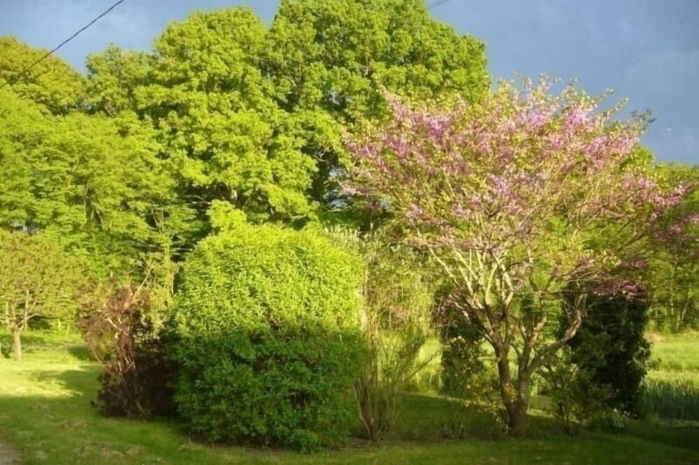 Photo of Outdoor in Courcy-aux-Loges
