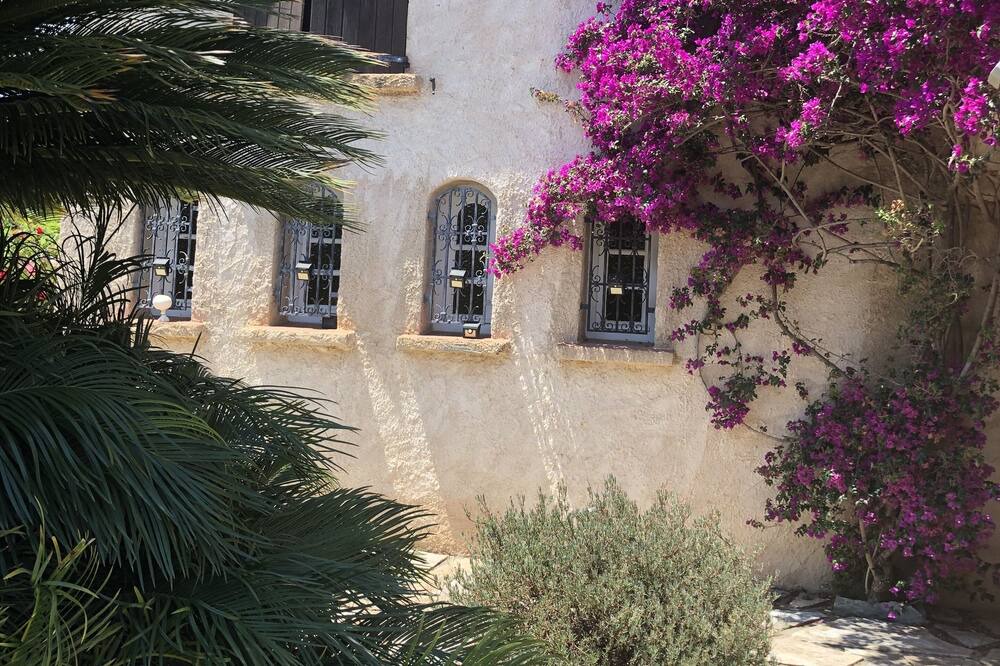 Photo of Outdoor in Prunelli-di-Fiumorbo
