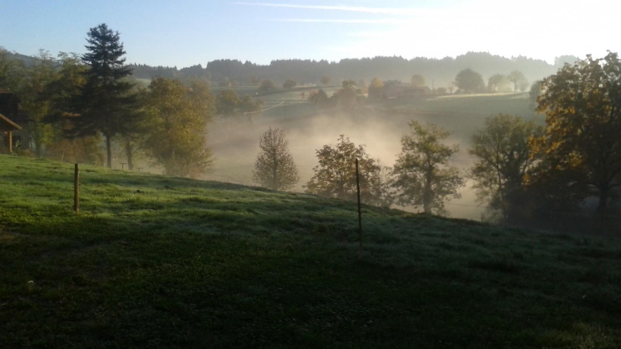 Photo of Outdoor in Varennes-sous-Dun