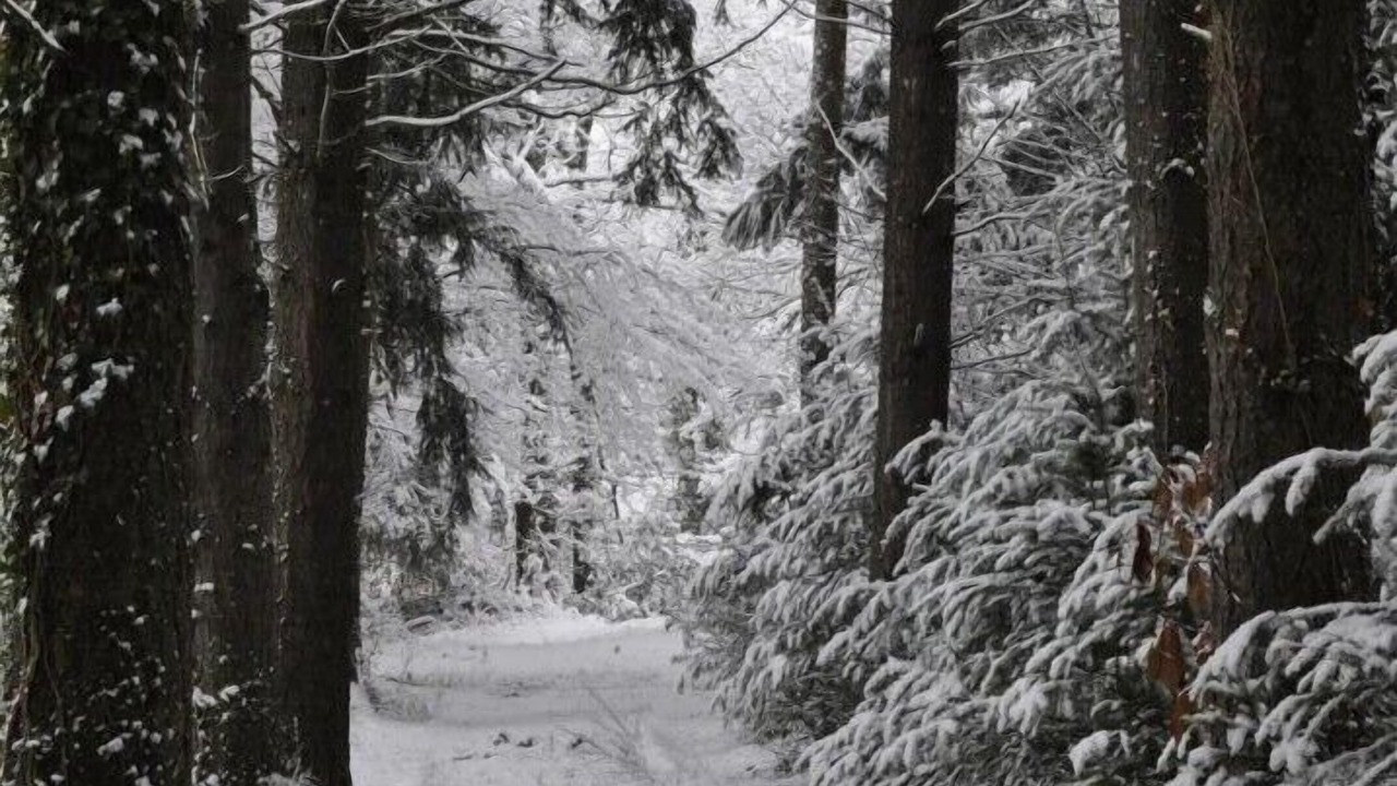 Photo of Outdoor in Varennes-sous-Dun