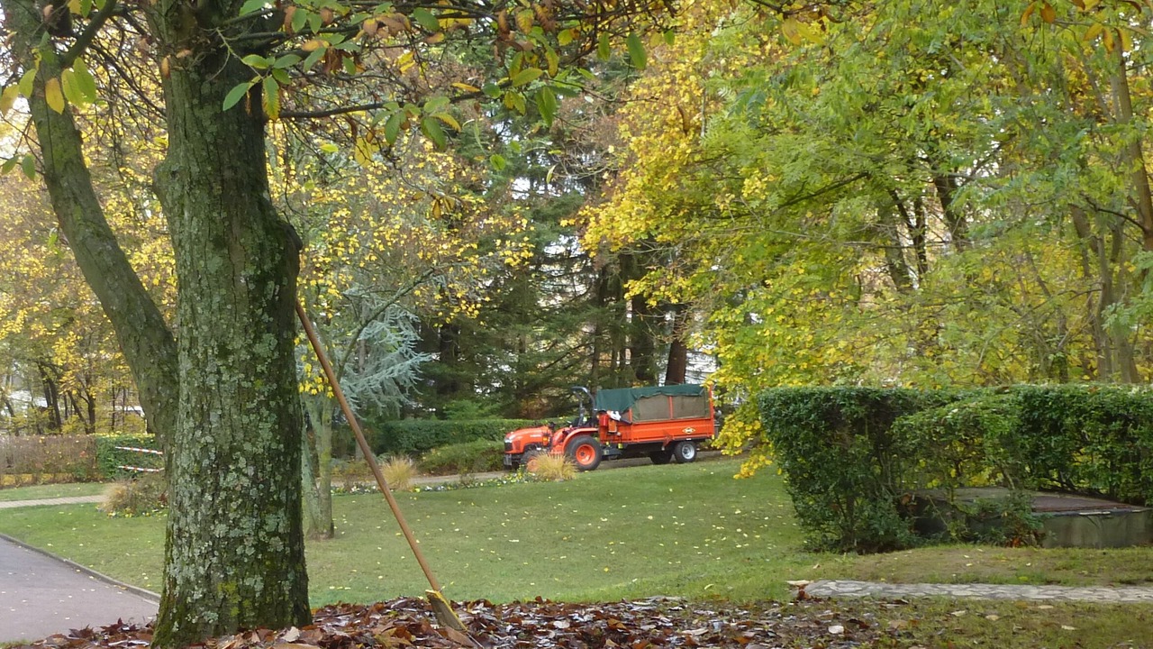 Photo of Outdoor in Epinay-sous-Senart