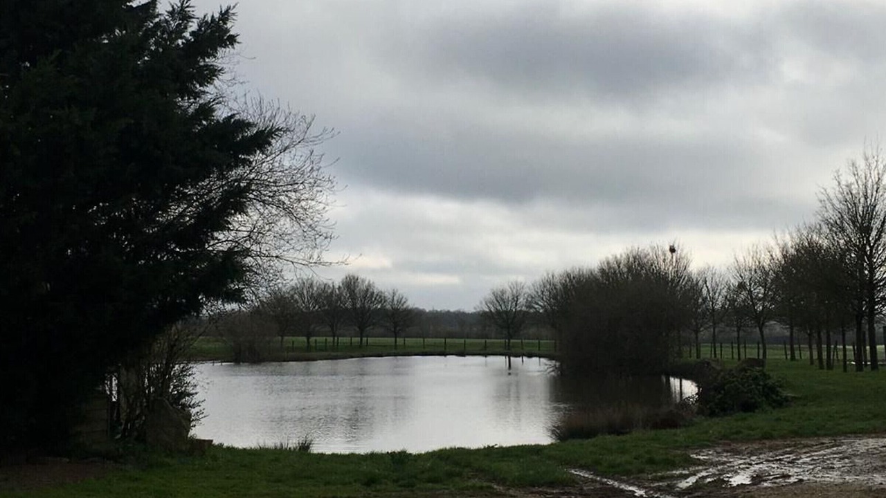 Photo of Others in Crannes-en-Champagne
