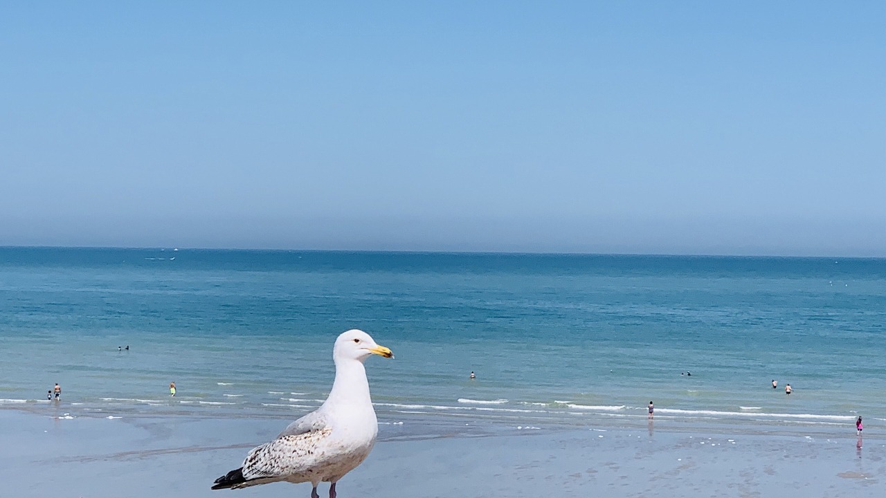 Photo of Others in Dieppe