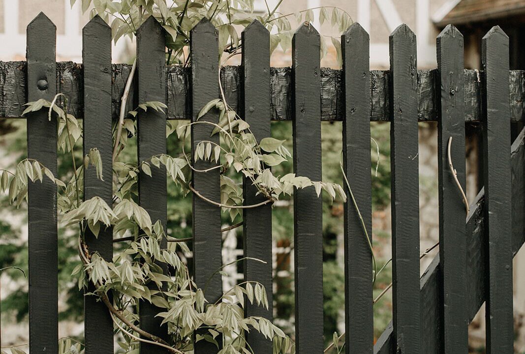 Photo of Others in Giverny