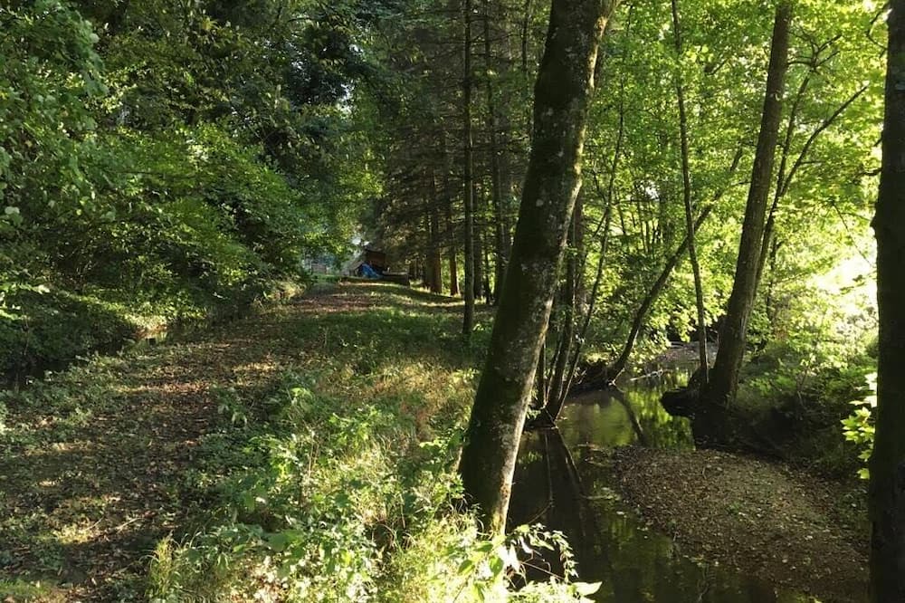Photo of Outdoor in Signy-lAbbaye