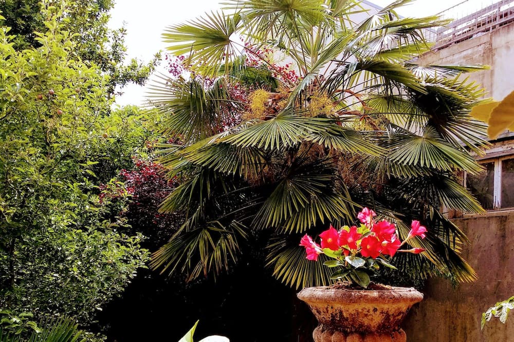 Photo of Outdoor in Alfortville