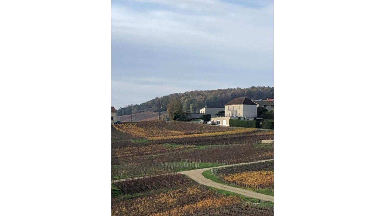 Photo of Others in Fleury-la-Riviere