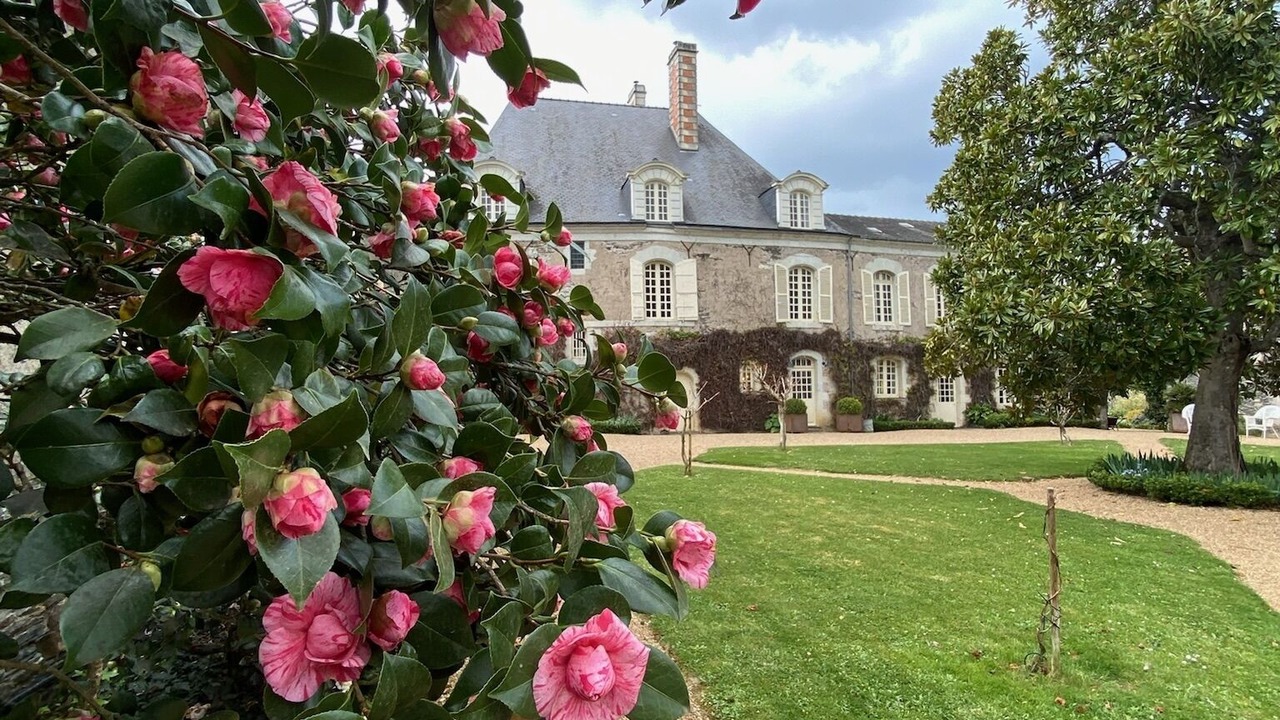 Photo of Outdoor in Saint-Barthelemy-d'Anjou
