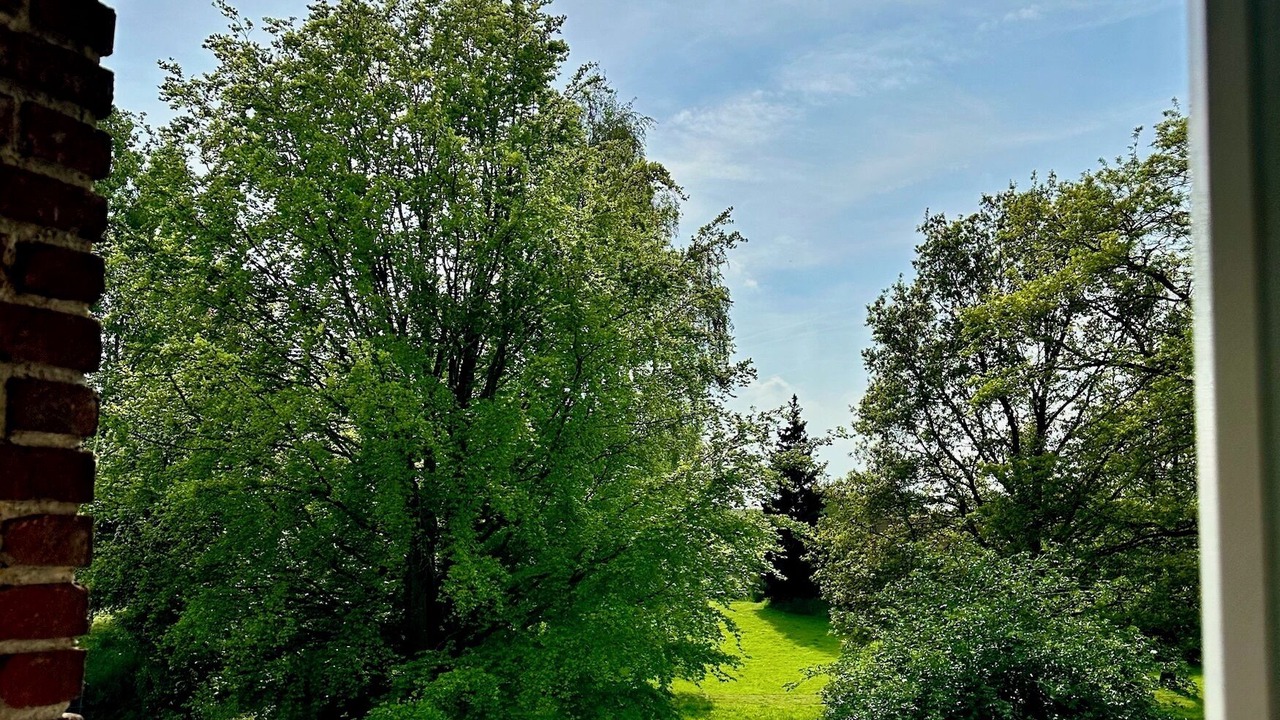 Photo of Outdoor in Romeries