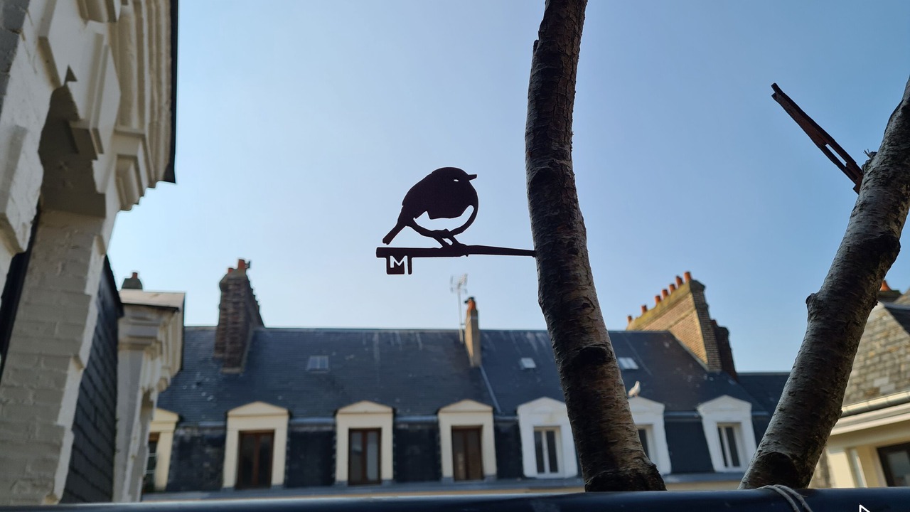 Photo of Outdoor in Dieppe