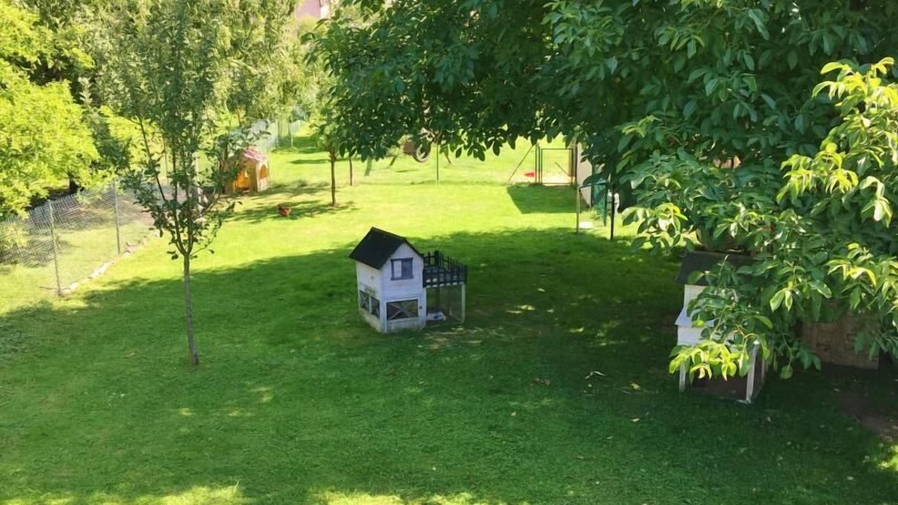 Photo of Outdoor in Vrigne-aux-Bois