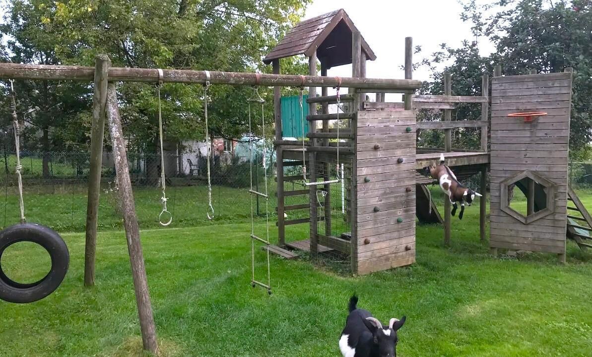 Photo of Outdoor in Vrigne-aux-Bois