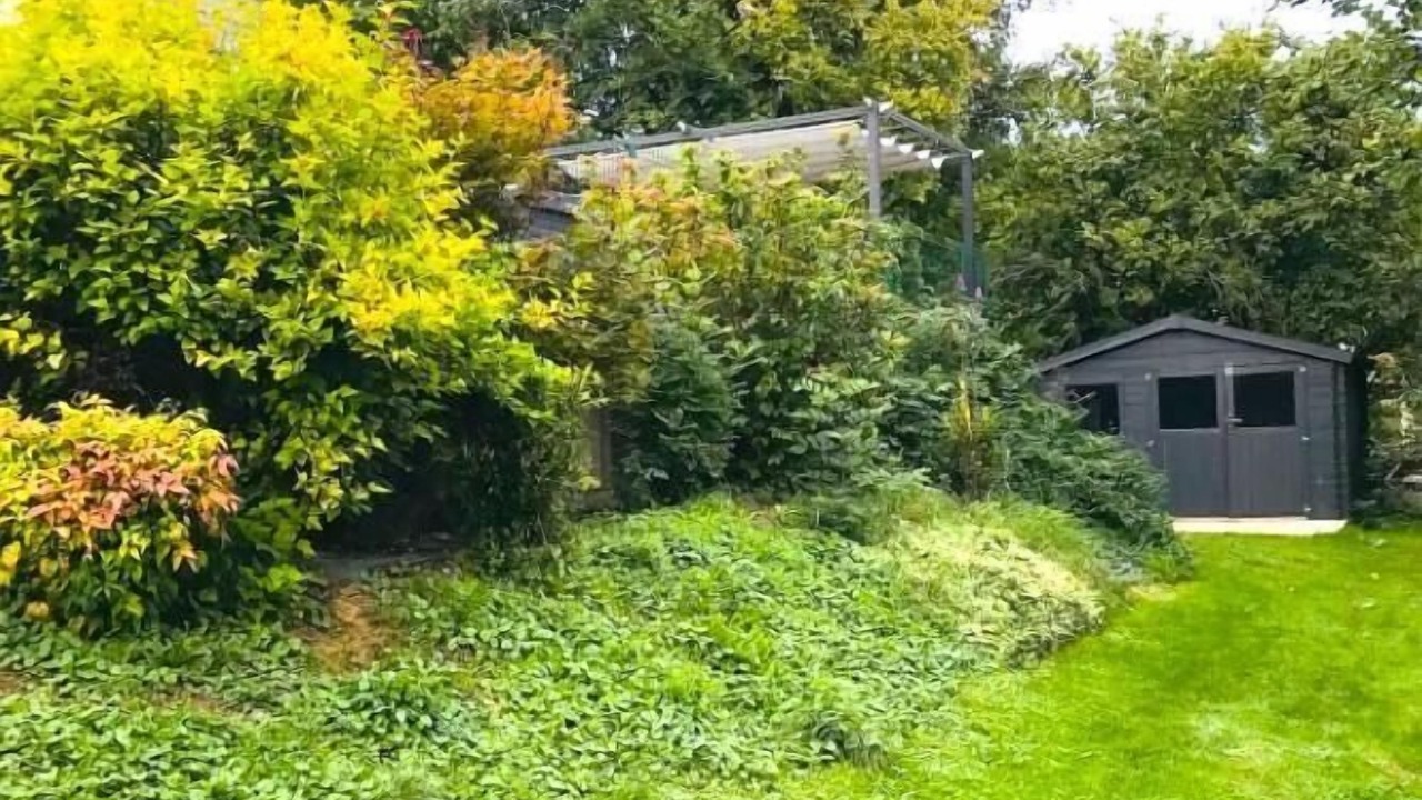 Photo of Outdoor in Vrigne-aux-Bois