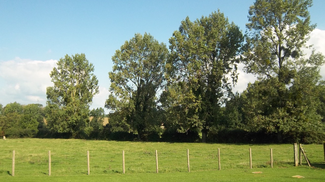 Photo of Others in Wierre-Effroy