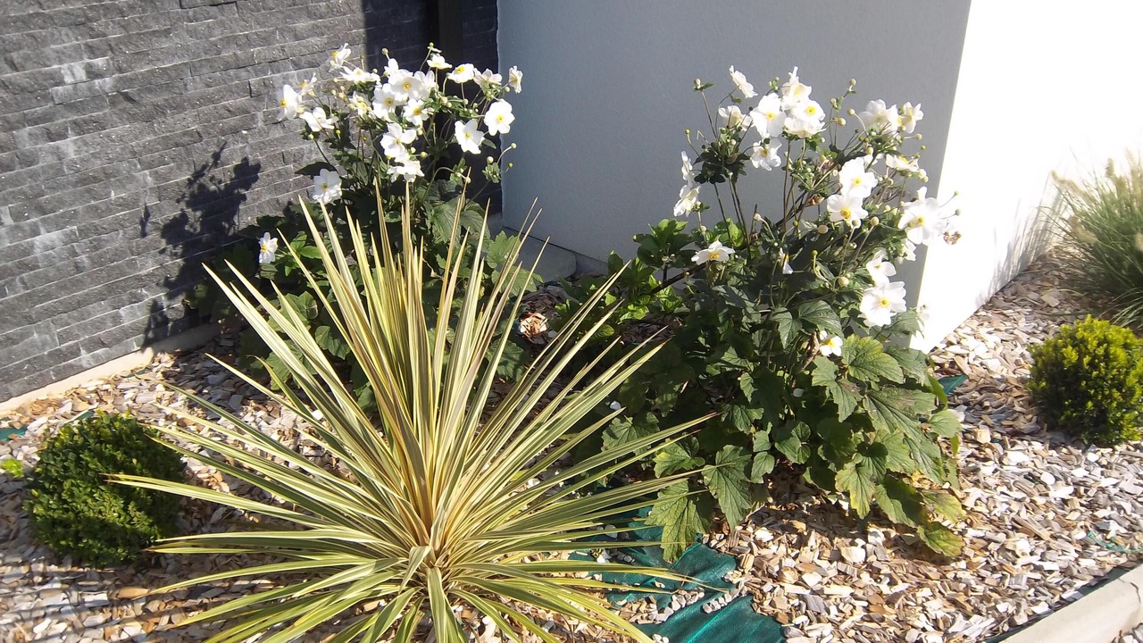 Photo of Outdoor in Wierre-Effroy