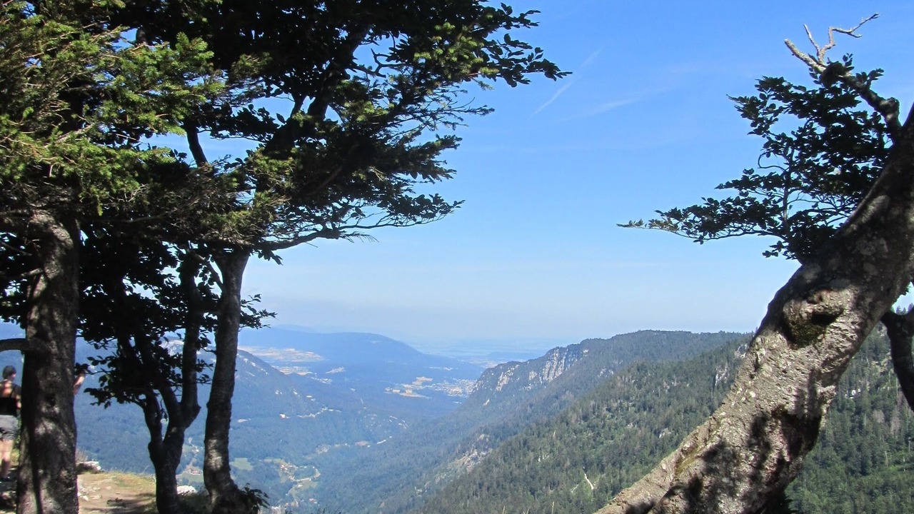 Photo of Others in Geneuille