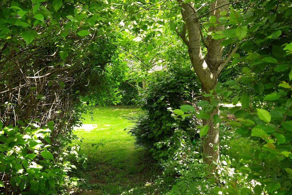 Photo of Outdoor in Clairfontaine